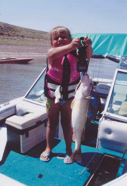 Beezely Fish Photo